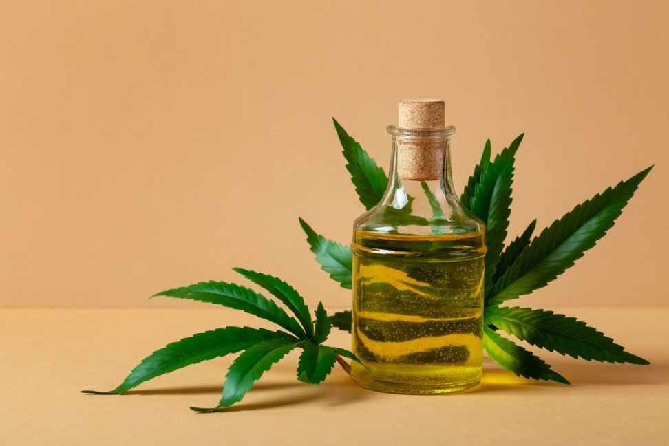 What is the difference between hemp oil and cbd oil