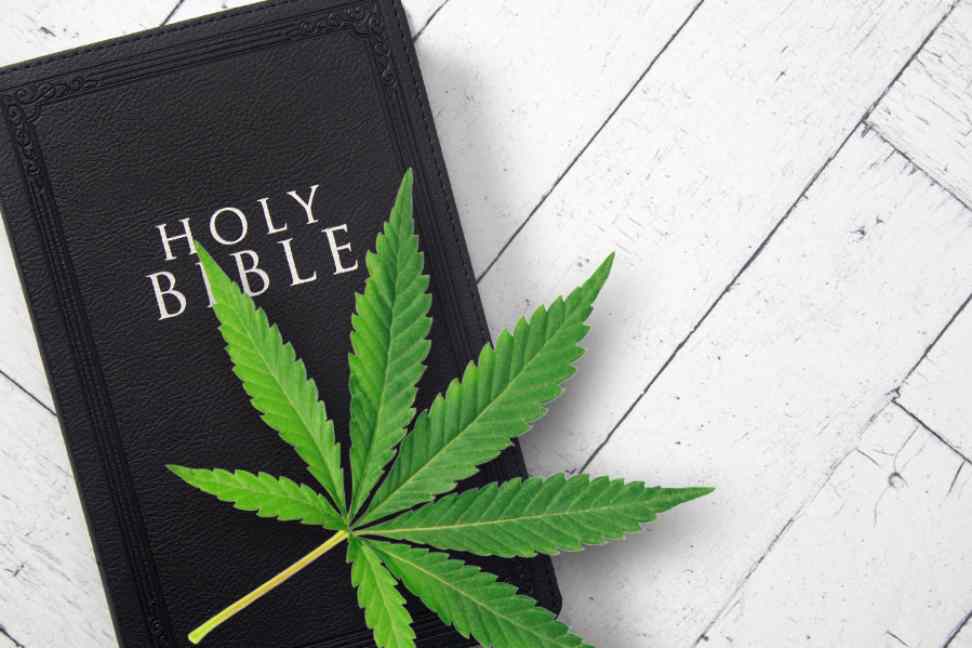 What is weed bible?